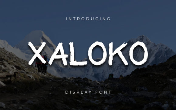 How Xaloko Font Elevated My Brand’s Visual Identity